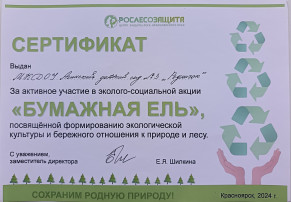 АКЦИЯ ПО СБОРУ МАКУЛАТУРЫ «БУМАЖНАЯ ЕЛЬ». БЛАГОДАРНОСТЬ ДЕТСКОМУ САДУ АКЦИЯ ПО СБОРУ МАКУЛАТУРЫ «БУМАЖНАЯ ЕЛЬ». БЛАГОДАРНОСТЬ ДЕТСКОМУ САДУ.